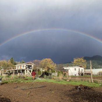 rainbow